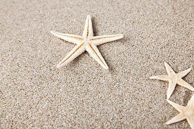 《迷失》被Mod玩坏 猫猫被换成《GTA：SA》主角